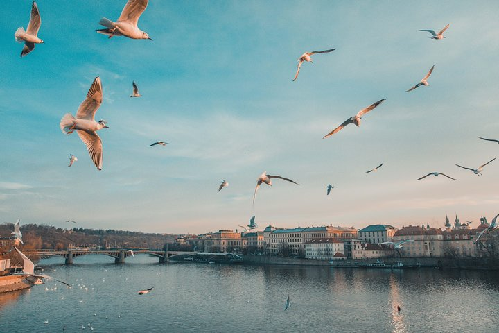 Discover Prague’s most Photogenic Spots with a Local - Photo 1 of 11